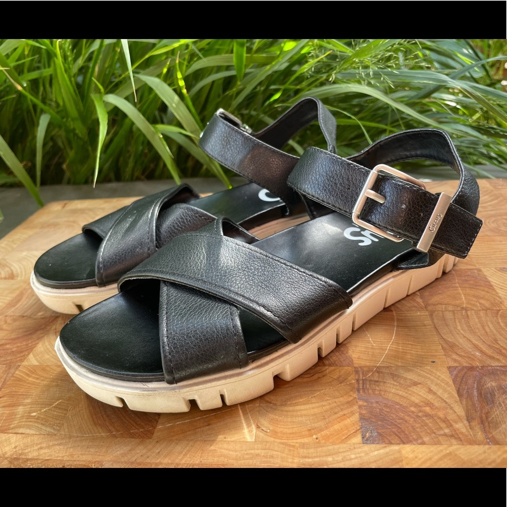 Sam Edelman Circus Sandals